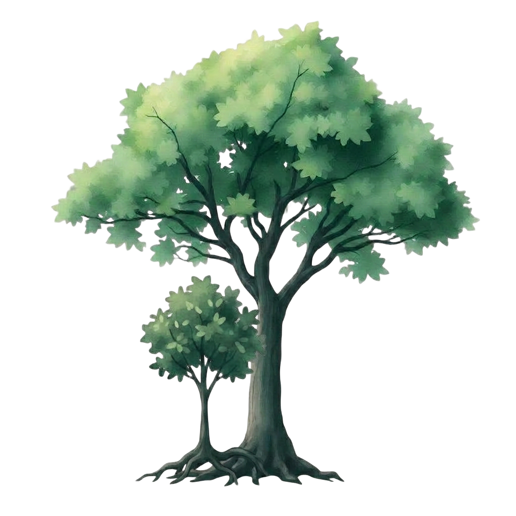 Baum